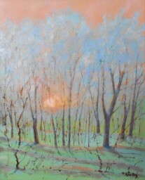 Zimní romantika  60x50